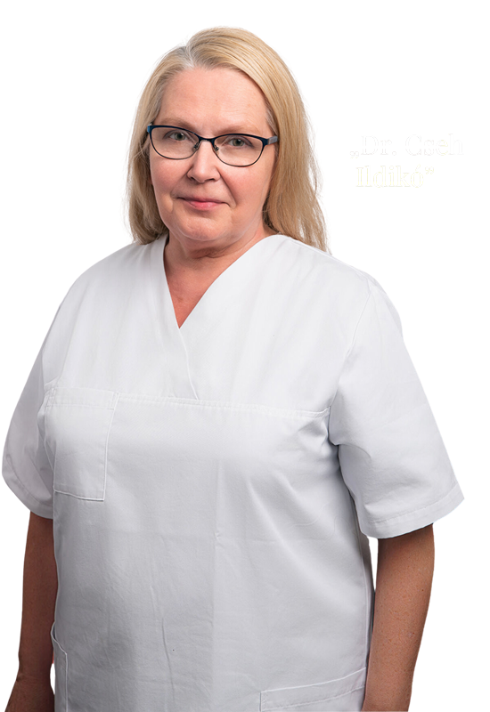 Dr Cseh Ildiko Final